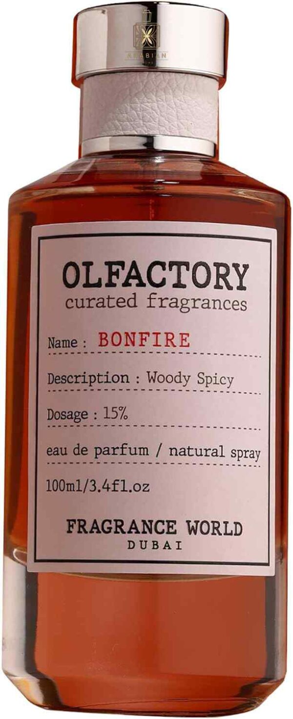 Olfactory Bonfire 100 ml парфюм