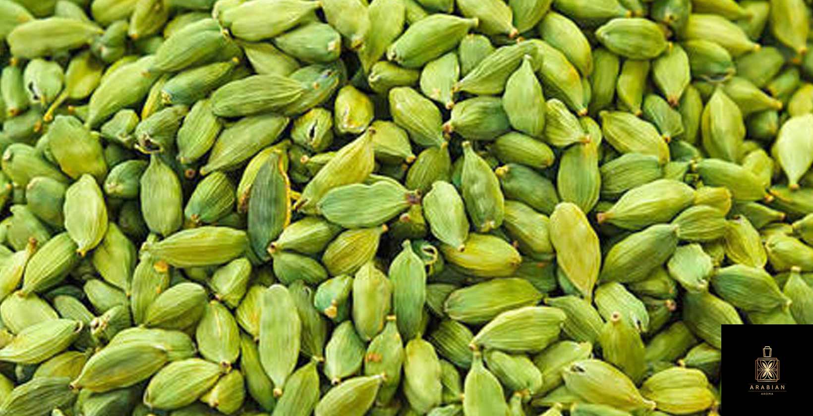 Кардамон - Elettaria cardamomum