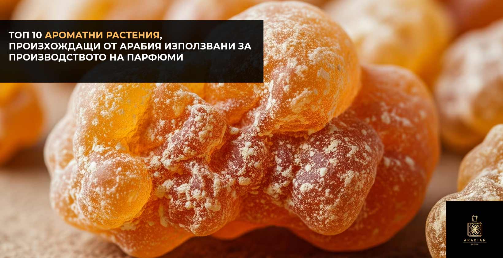 Топ 10 ароматични растения с произход от Арабия, които се използват в създаването на арабски парфюми.