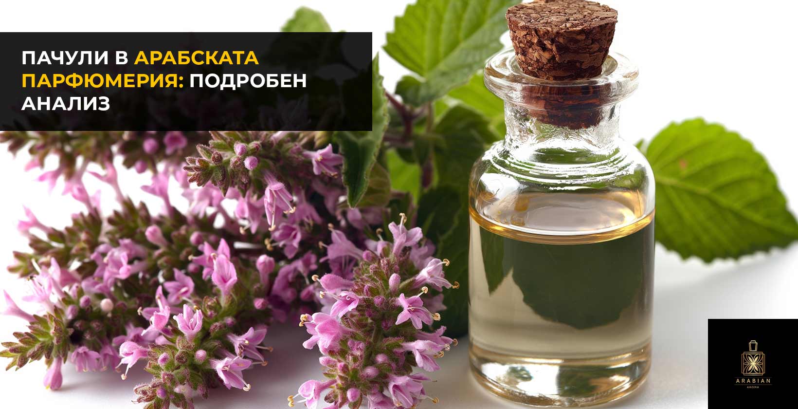Всичко за пачулите в арабската парфюмерия